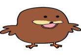 spurdo bird.jpg