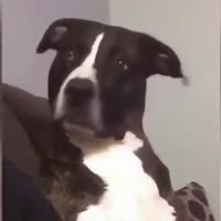 16035422224721.mp4