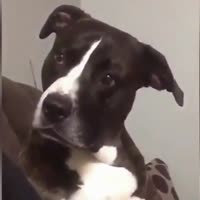 16035422224721.mp4