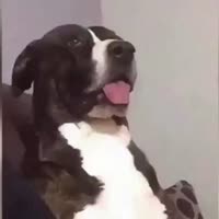 16035422224721.mp4