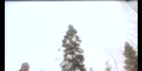 1614274813287.webm