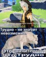 5yyGf6jI9M0.jpg