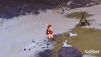foxes-2.jpg