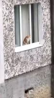 1475429123114.mp4