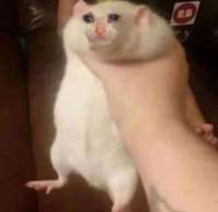 16069979897320.jpg