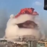 1614498961636.mp4