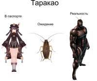 мемы9.jpg