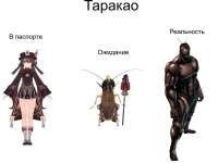 мемы9v2.jpg