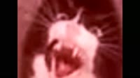1566857622204.webm