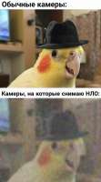 IMG20210301145022490.jpg