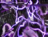 16115255234330.mp4