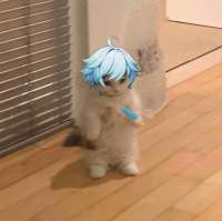 Чунь Кот.png