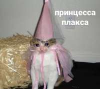 1601334463773.jpg