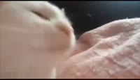 16055328988320.mp4