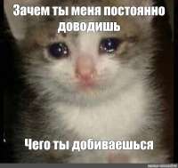 4cbed05b8facda25e843774d02474fb8.jpg