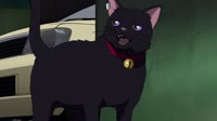 1527203167940.webm