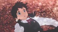 bul.webm