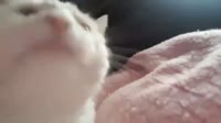 16044766115440.mp4