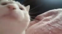 Клубный Гуль.mp4