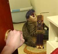 1473997399300.png