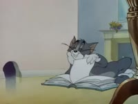 1568306263490.webm