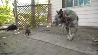 1591688522108.webm