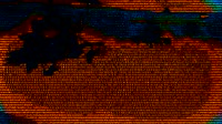 OBJECTIVE2data.payoffvideo.mp4