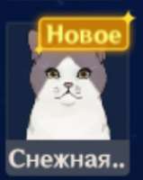 изображение.png