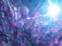 ouroVoros - Negentropy.mp4