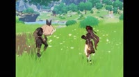Untitled.mp4