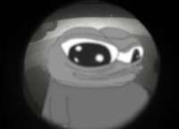 image.jpeg