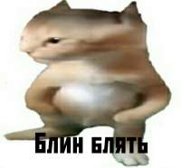 15626296136160.jpg