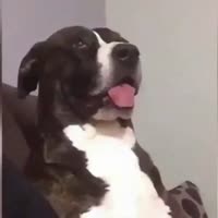 16035422224721.mp4