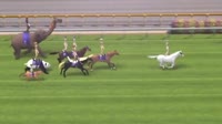 yt1s.com - Japan World Cup 2  Race 10480p.mp4