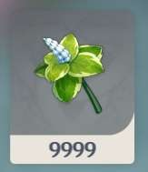 4511.jpg