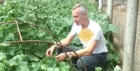 16096676358581.webm