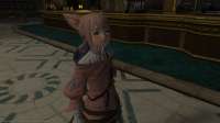 ffxiv09032021030043359.png