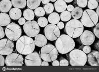 depositphotos275028330-stock-photo-texture-grey-wooden-logs[...].jpg
