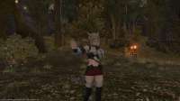 ffxiv21032021203255136.jpg