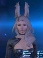 bunbun.png