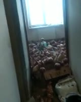 rent@dvachannel ⚡ Двач.mp4