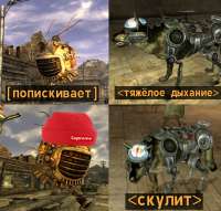 1ZkkARkzq0.jpg