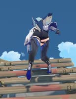 1616328787627.webm