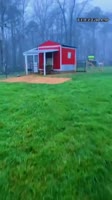 1616337523146.mp4