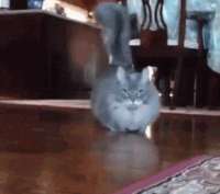 gifkidolboeba3.gif