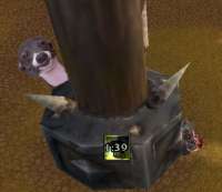 pvp.png