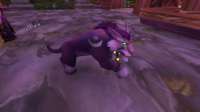WoWScrnShot032221110138.jpg
