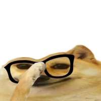 image.jpeg