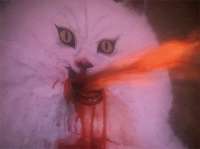 mIUWeXp.gif