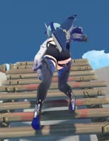 16163327914480.webm